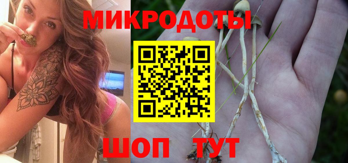 Усть-Илимск  Псилоцибиновые грибы Psilocybine cubensis  Вход с VPN 